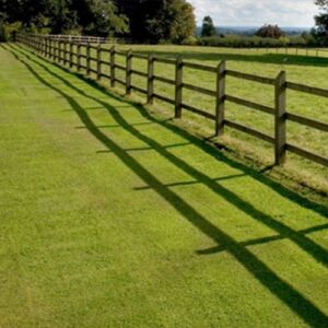 Split Rail